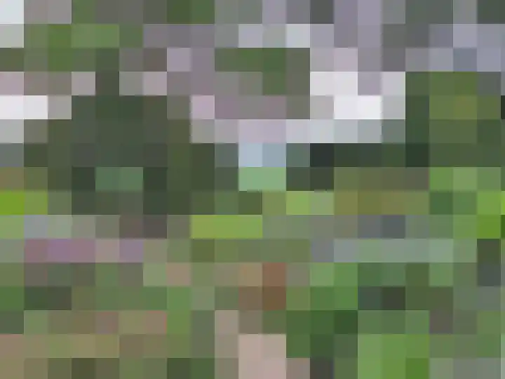Eerste Schansweg 3 Balkbrug thumbnail 113