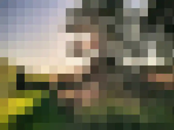 Eerste Schansweg 3 Balkbrug thumbnail 117