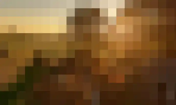 Eerste Schansweg 3 Balkbrug thumbnail 118