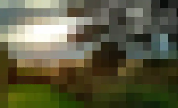Eerste Schansweg 3 Balkbrug thumbnail 119