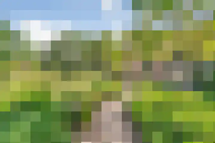 Eerste Schansweg 3 Balkbrug thumbnail 12