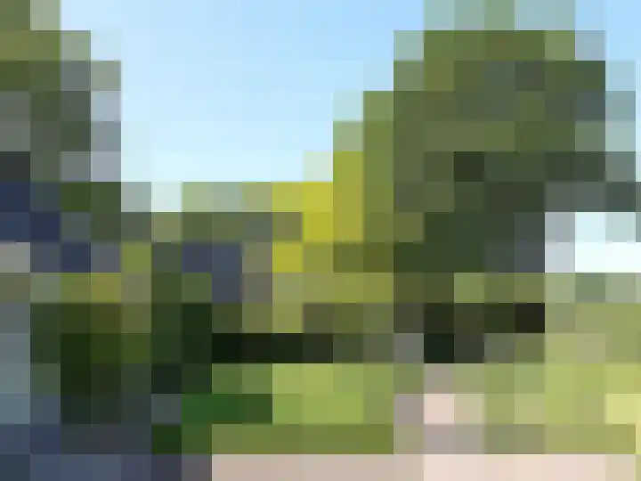 Eerste Schansweg 3 Balkbrug thumbnail 124