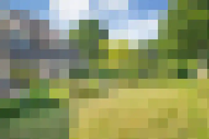 Eerste Schansweg 3 Balkbrug thumbnail 13