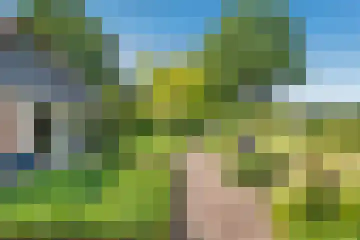 Eerste Schansweg 3 Balkbrug thumbnail 15