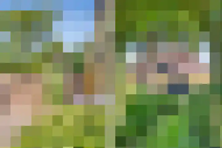 Eerste Schansweg 3 Balkbrug thumbnail 16