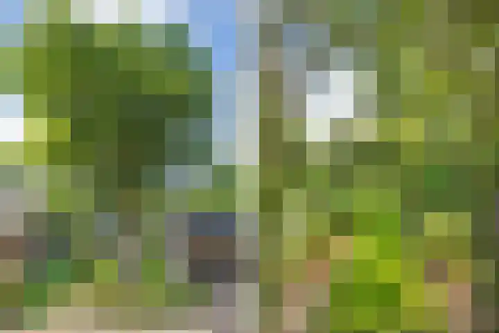 Eerste Schansweg 3 Balkbrug thumbnail 19