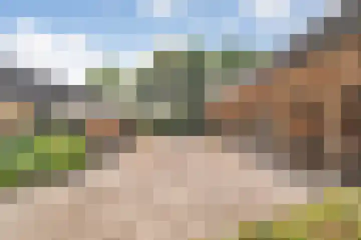 Eerste Schansweg 3 Balkbrug thumbnail 20