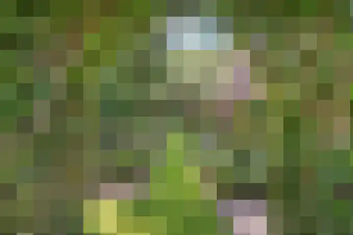 Eerste Schansweg 3 Balkbrug thumbnail 22