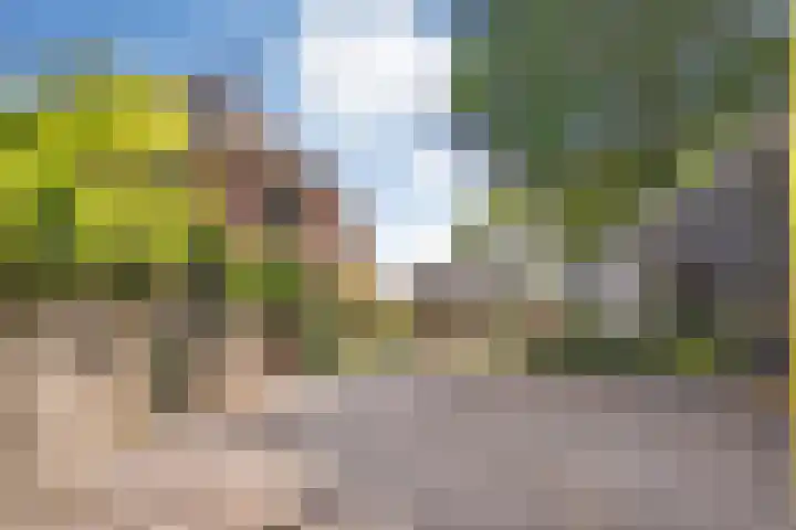 Eerste Schansweg 3 Balkbrug thumbnail 24