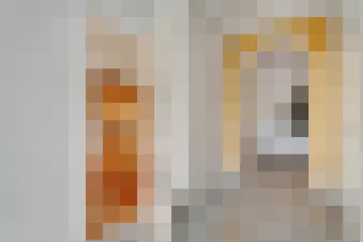 Eerste Schansweg 3 Balkbrug thumbnail 26