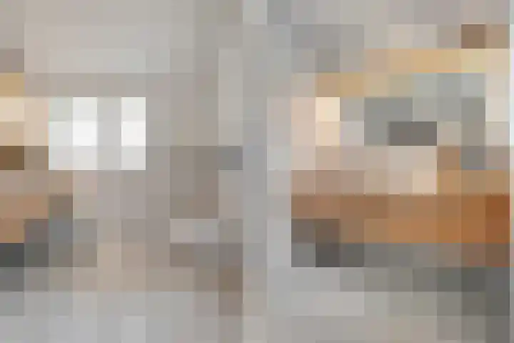 Eerste Schansweg 3 Balkbrug thumbnail 29