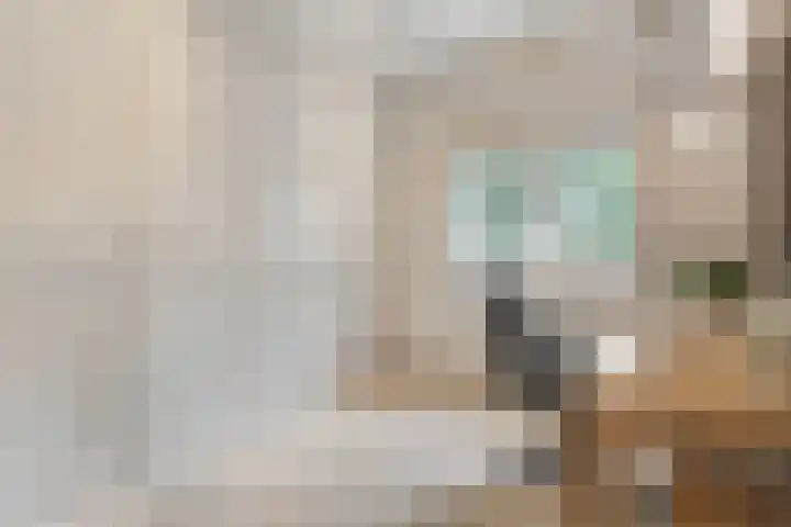 Eerste Schansweg 3 Balkbrug thumbnail 32