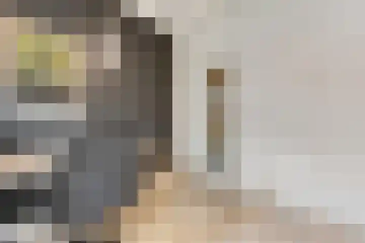 Eerste Schansweg 3 Balkbrug thumbnail 33