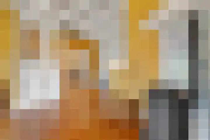 Eerste Schansweg 3 Balkbrug thumbnail 34
