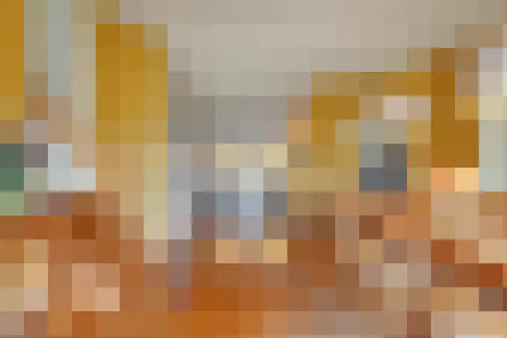 Eerste Schansweg 3 Balkbrug thumbnail 35