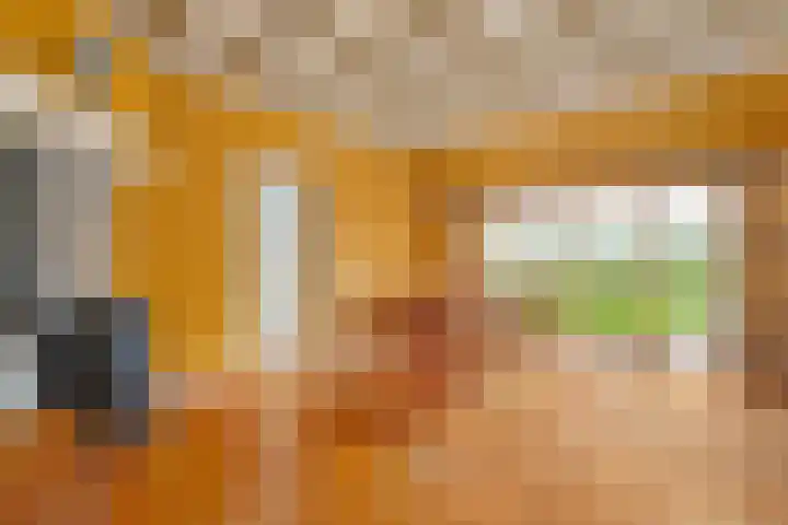 Eerste Schansweg 3 Balkbrug thumbnail 36