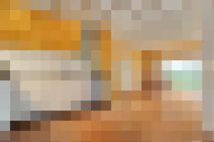 Eerste Schansweg 3 Balkbrug thumbnail 40