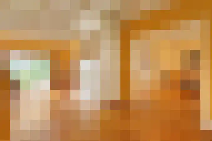 Eerste Schansweg 3 Balkbrug thumbnail 41