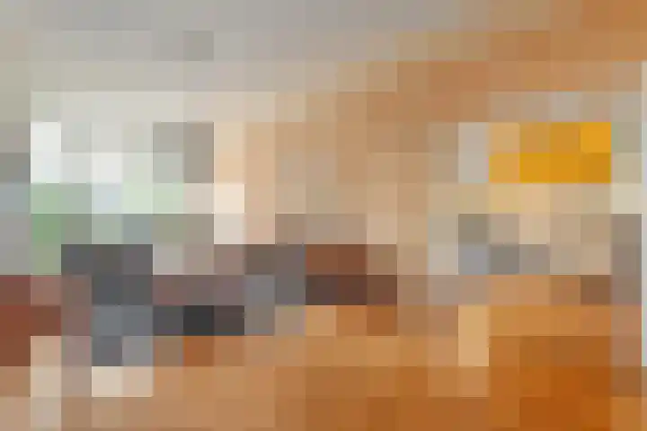 Eerste Schansweg 3 Balkbrug thumbnail 42