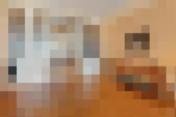 Eerste Schansweg 3 Balkbrug thumbnail 45