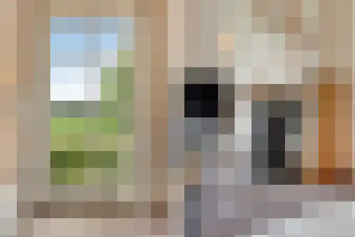 Eerste Schansweg 3 Balkbrug thumbnail 47