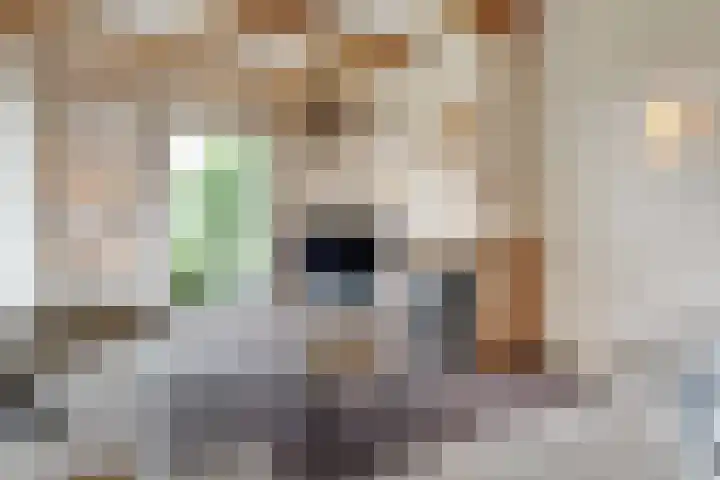 Eerste Schansweg 3 Balkbrug thumbnail 48