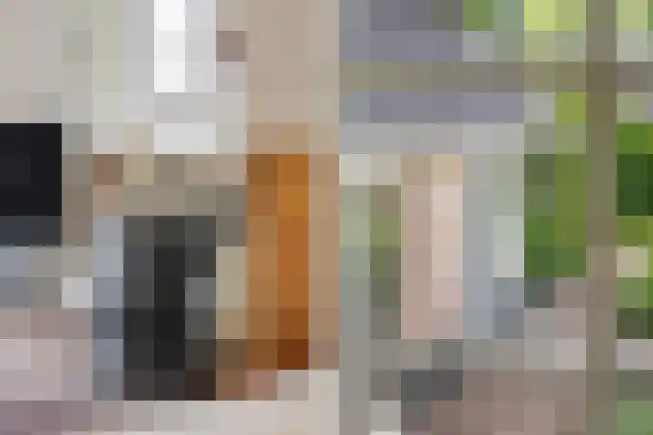 Eerste Schansweg 3 Balkbrug thumbnail 49