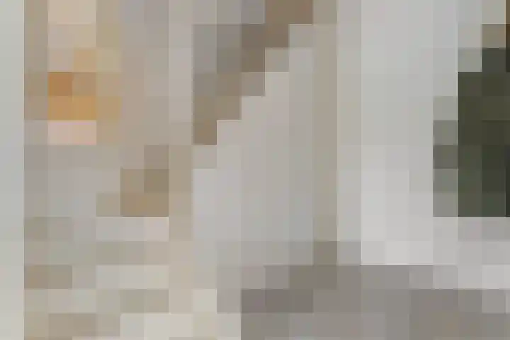Eerste Schansweg 3 Balkbrug thumbnail 52