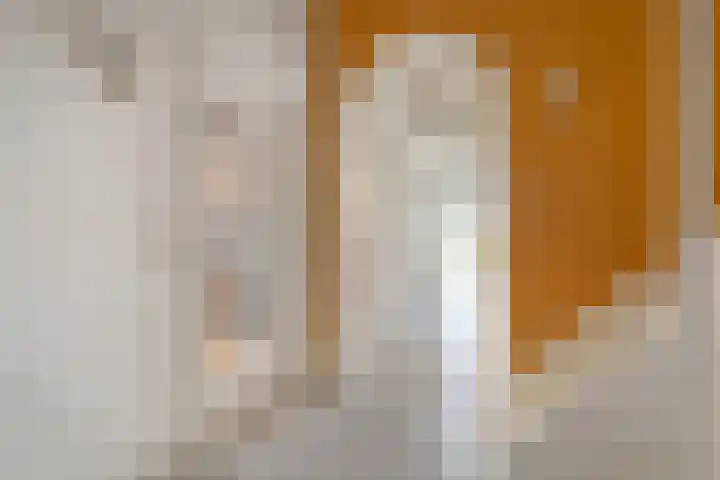 Eerste Schansweg 3 Balkbrug thumbnail 53