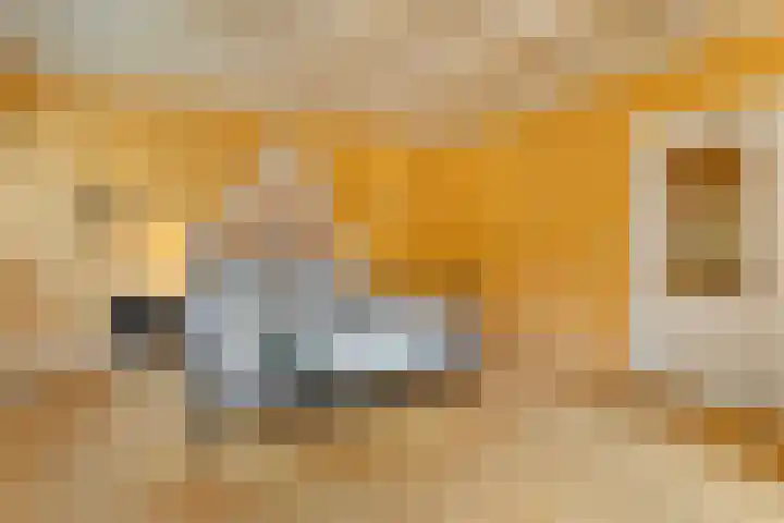 Eerste Schansweg 3 Balkbrug thumbnail 58