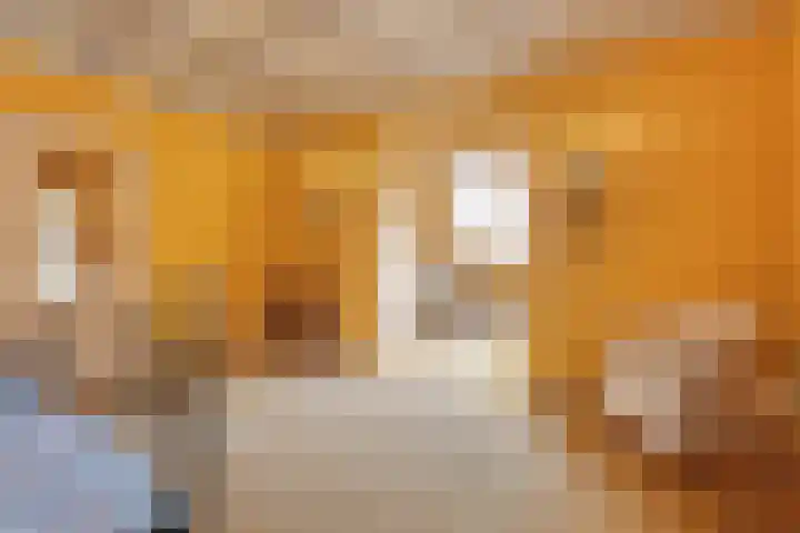 Eerste Schansweg 3 Balkbrug thumbnail 59