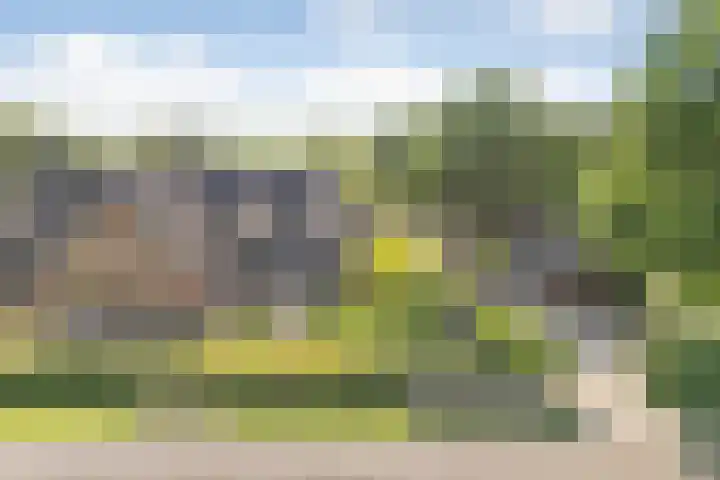 Eerste Schansweg 3 Balkbrug thumbnail 6