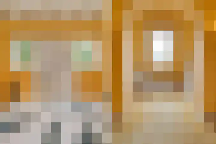 Eerste Schansweg 3 Balkbrug thumbnail 60