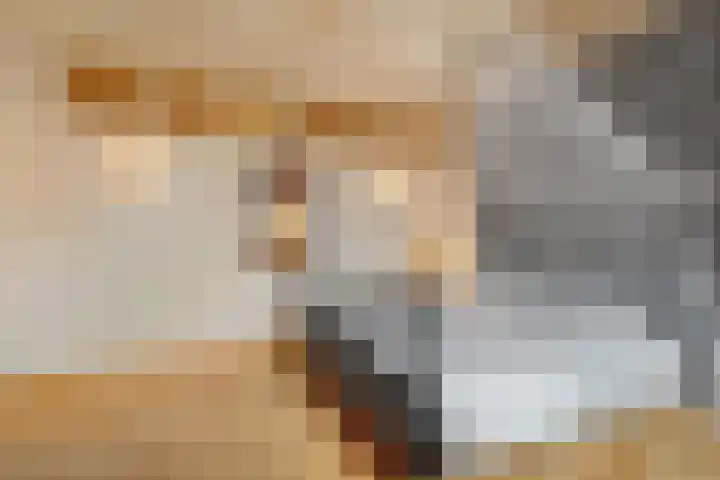 Eerste Schansweg 3 Balkbrug thumbnail 66