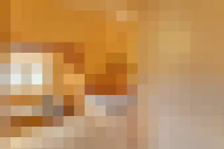 Eerste Schansweg 3 Balkbrug thumbnail 68