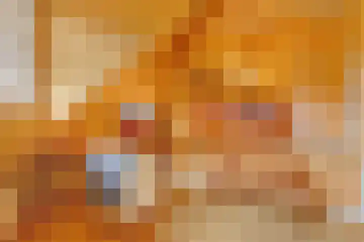 Eerste Schansweg 3 Balkbrug thumbnail 69