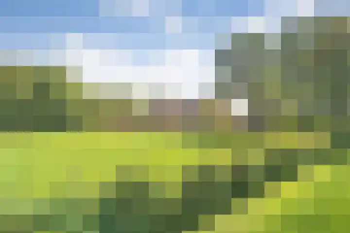 Eerste Schansweg 3 Balkbrug thumbnail 7