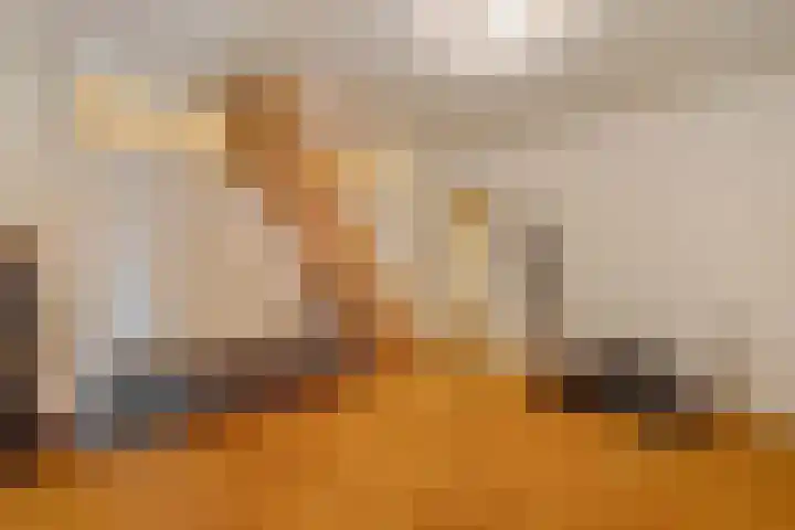 Eerste Schansweg 3 Balkbrug thumbnail 81