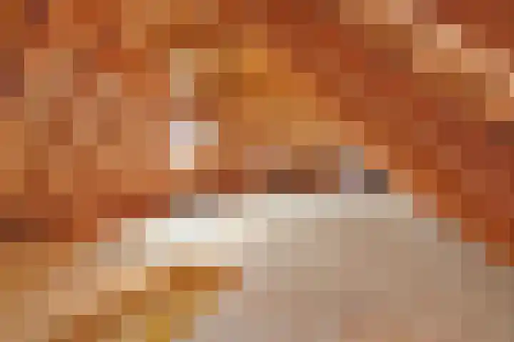 Eerste Schansweg 3 Balkbrug thumbnail 82