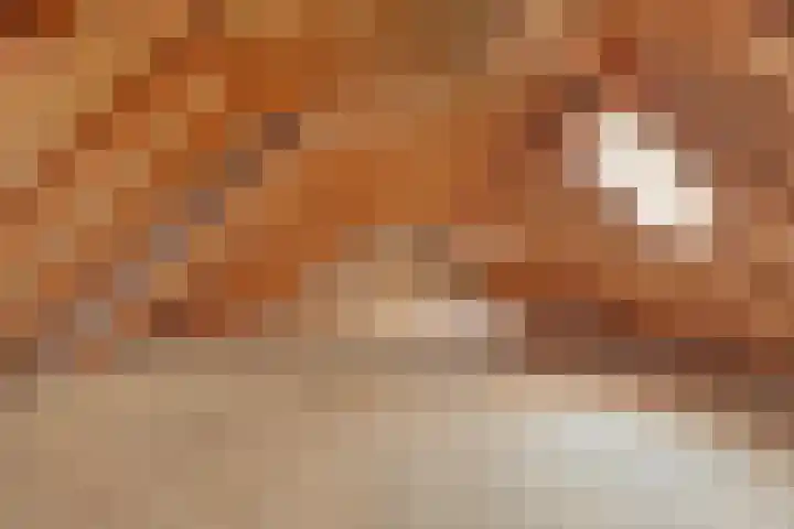 Eerste Schansweg 3 Balkbrug thumbnail 83