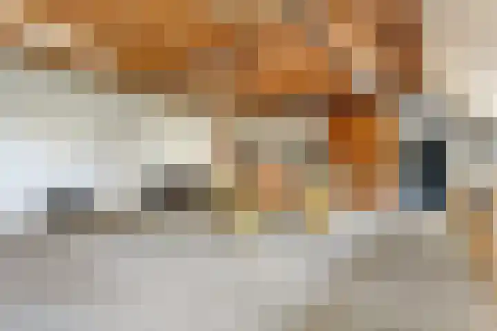 Eerste Schansweg 3 Balkbrug thumbnail 85