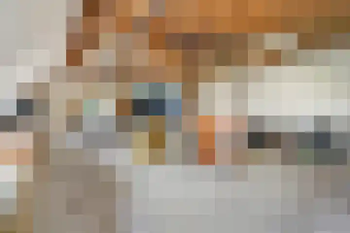 Eerste Schansweg 3 Balkbrug thumbnail 86