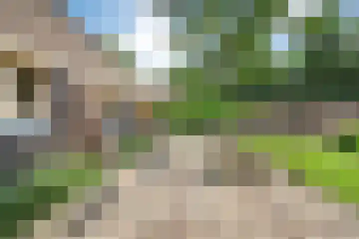 Eerste Schansweg 3 Balkbrug thumbnail 89