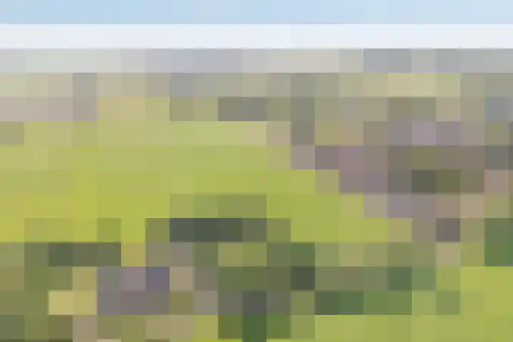 Eerste Schansweg 3 Balkbrug thumbnail 9