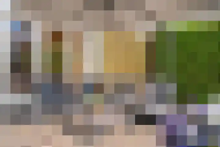 Eerste Schansweg 3 Balkbrug thumbnail 92