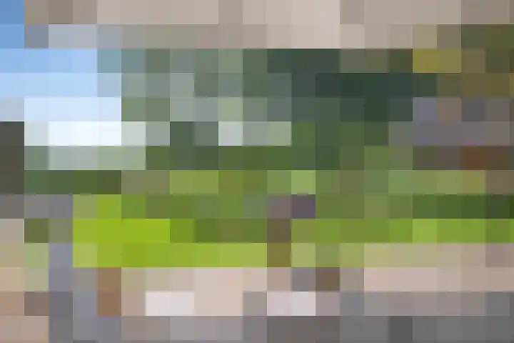 Eerste Schansweg 3 Balkbrug thumbnail 93
