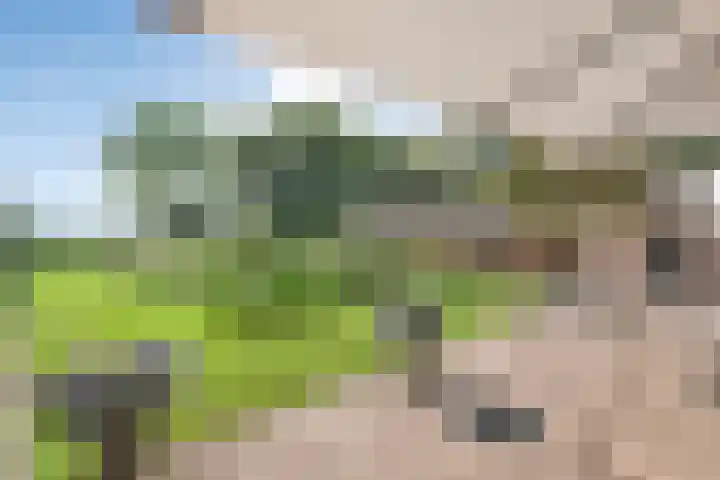 Eerste Schansweg 3 Balkbrug thumbnail 94