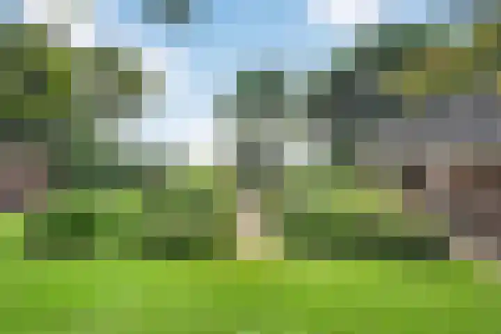 Eerste Schansweg 3 Balkbrug thumbnail 95
