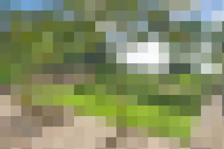 Eerste Schansweg 3 Balkbrug thumbnail 96