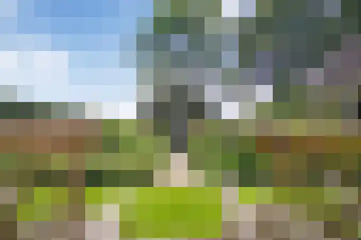 Eerste Schansweg 3 Balkbrug thumbnail 97